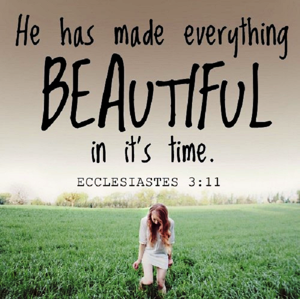 Buy God makes everything beautiful in its time No Survey